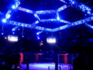 Ultimate Fighter Finale  December 3, 2011  The Pearl, Palms Concert Theater