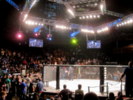 Ultimate Fighter Finale  June 1, 2012  The Pearl, Palms Concert Theater