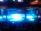 UFC Ultimate Fighter Finale - June 19, 2010 - The Pearl, Palms Concert Theater